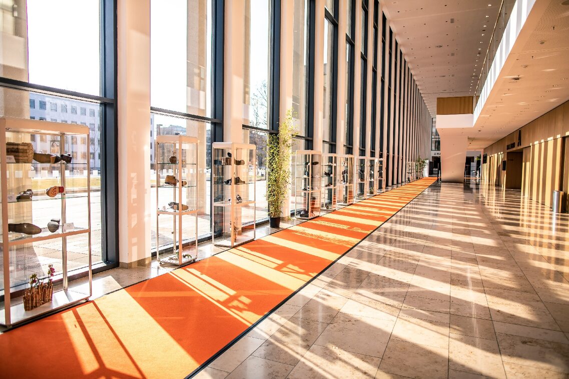 Vestíbulo Norte Exposición