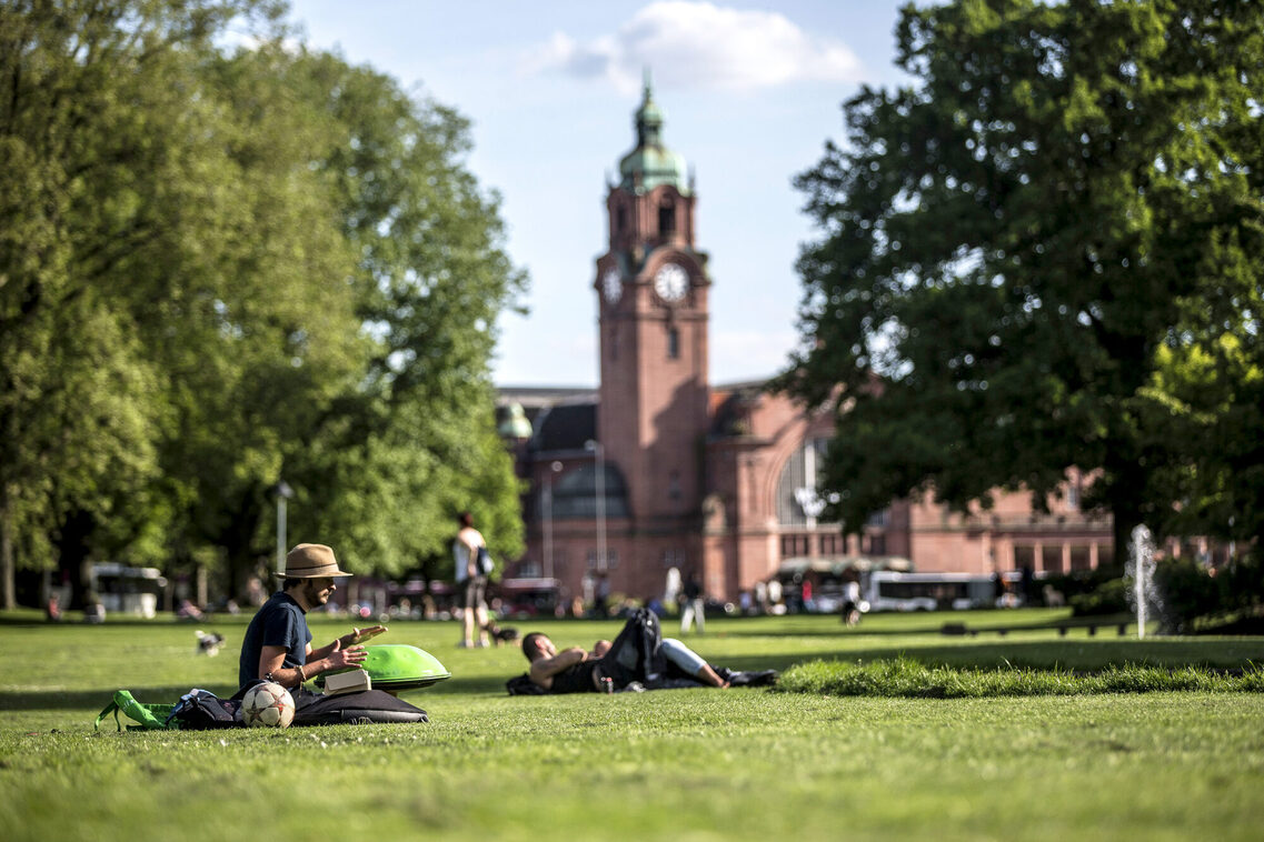 Tablou decorativ / Tablou solo : Tobias Schlingensiepen cântă la toba Caisa în Reisinger-Anlagen, Wiesbaden, imagine x din 2