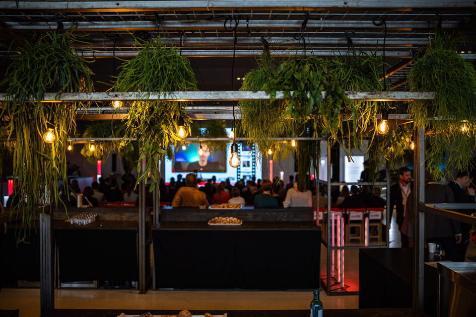 Sergi salonunda asılı bitkiler