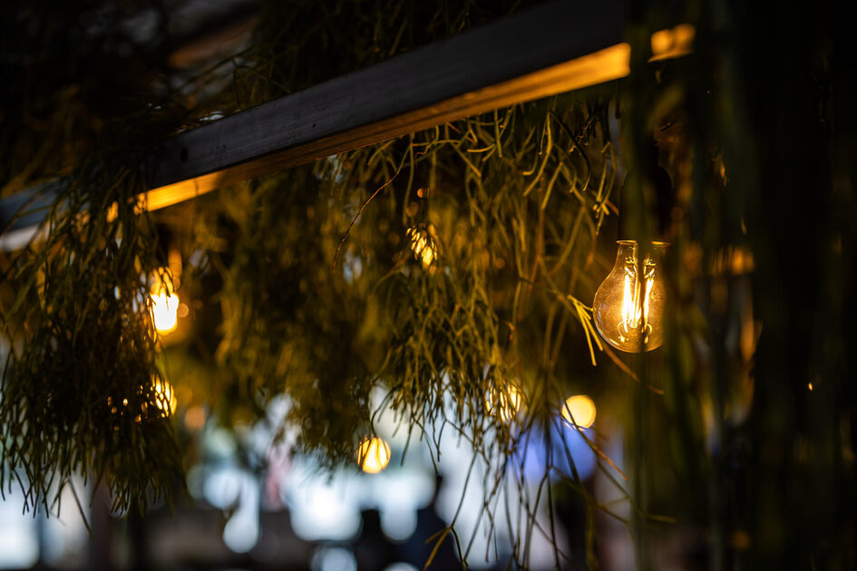 Sergi salonunda asılı bitkiler