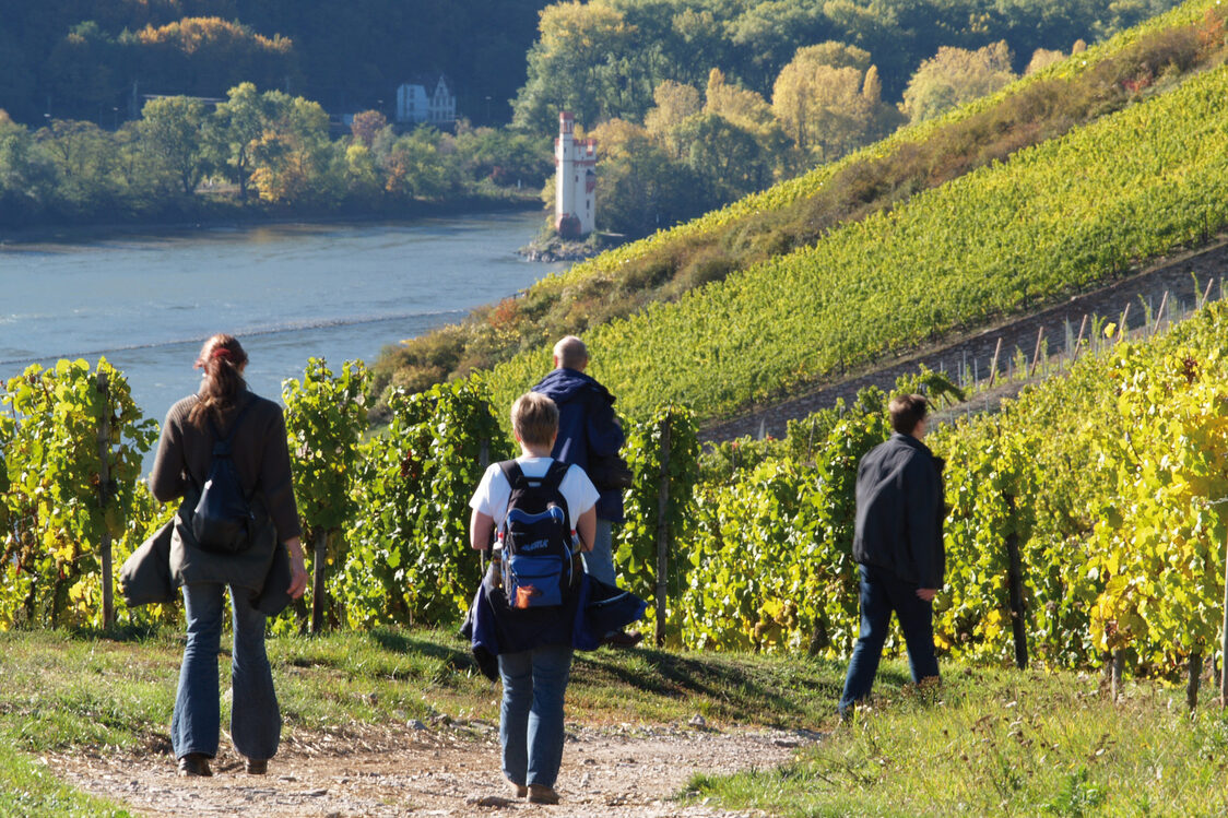 Rüdesheim