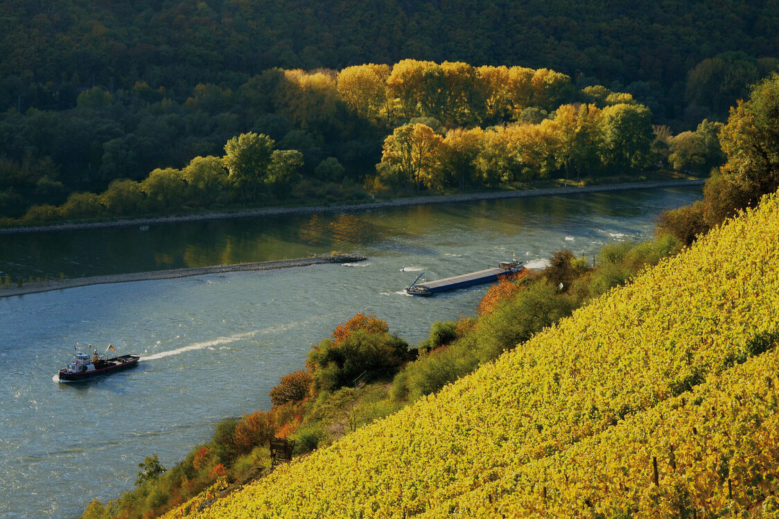 Rüdesheim